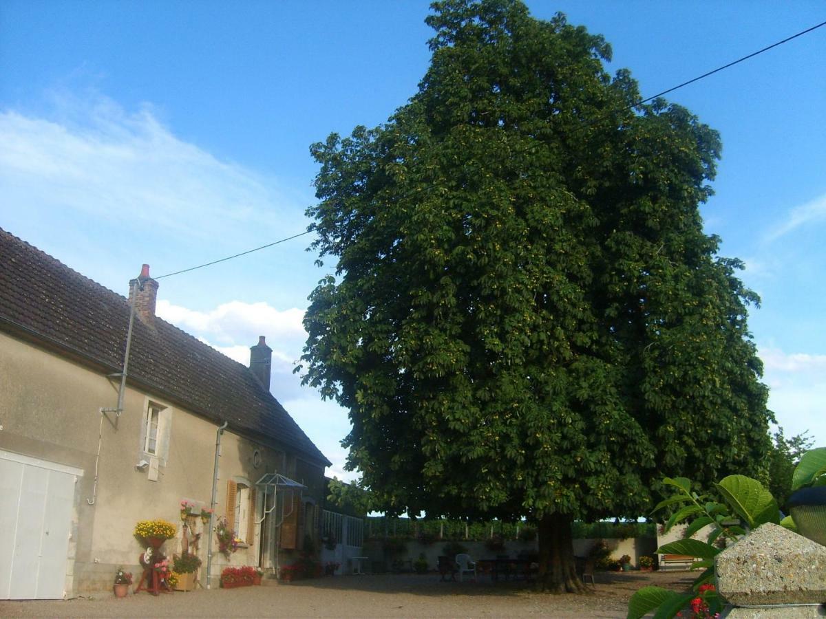 Armalou Acomodação com café da manhã Pouilly-sur-Loire Exterior foto