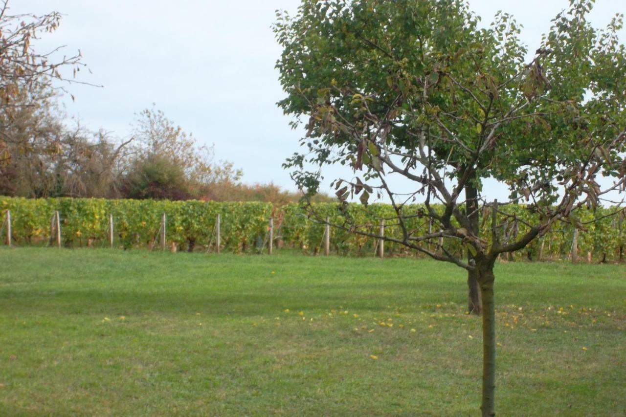 Armalou Acomodação com café da manhã Pouilly-sur-Loire Exterior foto