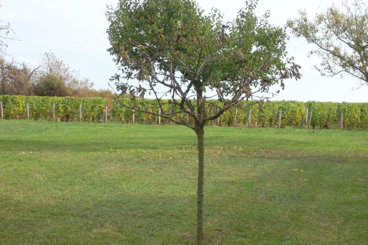 Armalou Acomodação com café da manhã Pouilly-sur-Loire Exterior foto