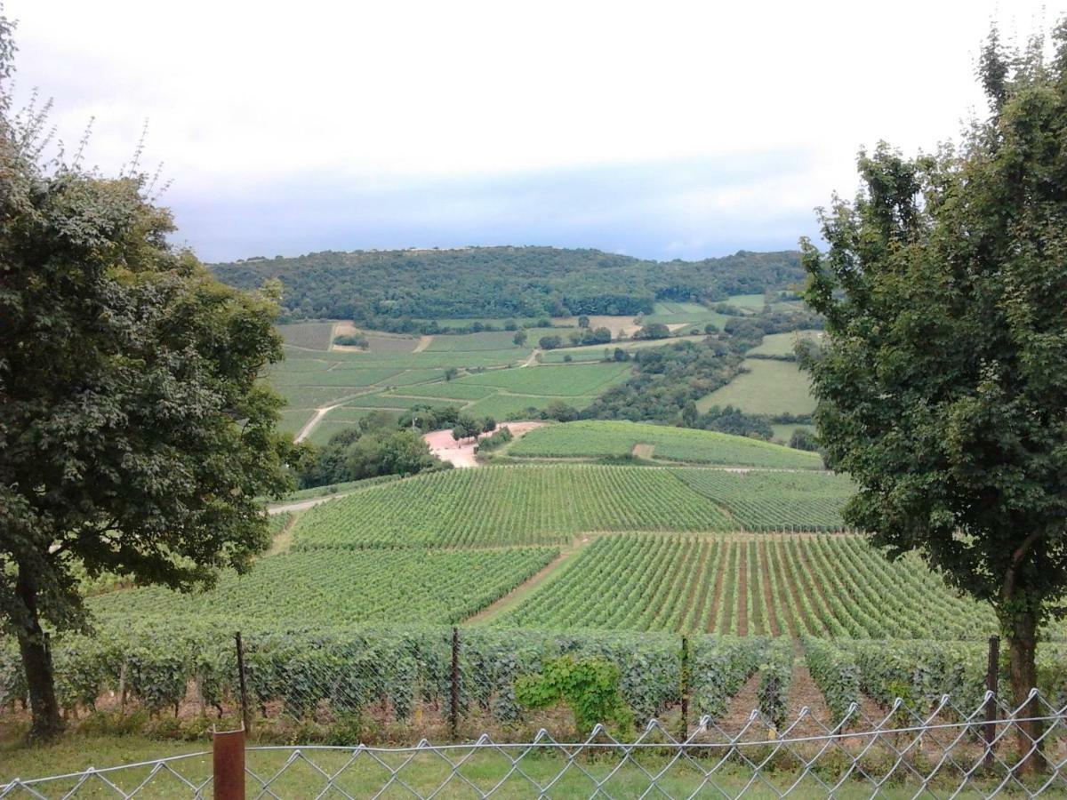Armalou Acomodação com café da manhã Pouilly-sur-Loire Exterior foto